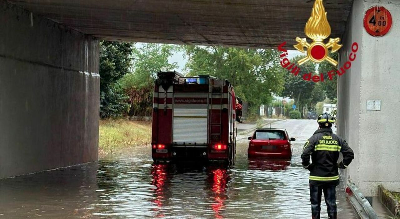 maltempo-nel-foggiano,-pioggia-battente-e-allagamenti:-automobilisti-bloccati,-un-albero-crollato-in-centro